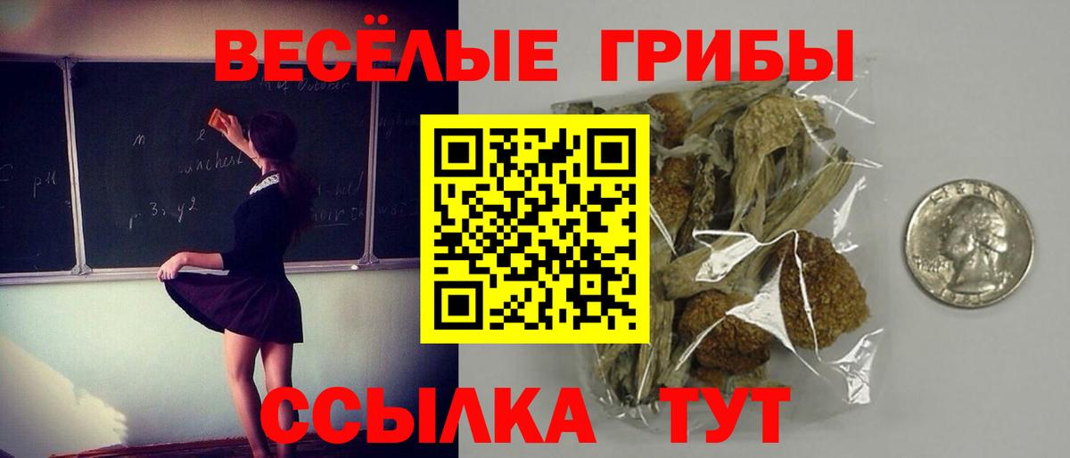 Псилоцибиновые грибы мухоморы  Галлюциногенные грибы Cubensis  Вход с VPN  Протвино 